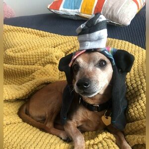 Meet your Posher, Becky